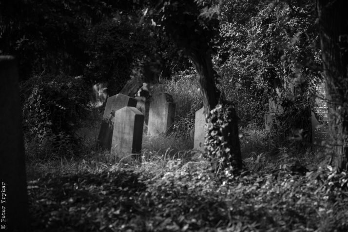 jewesh cemetery 3